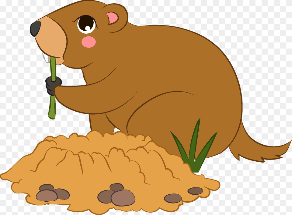 Groundhog Clipart, Animal, Mammal, Rodent, Beaver Free Png