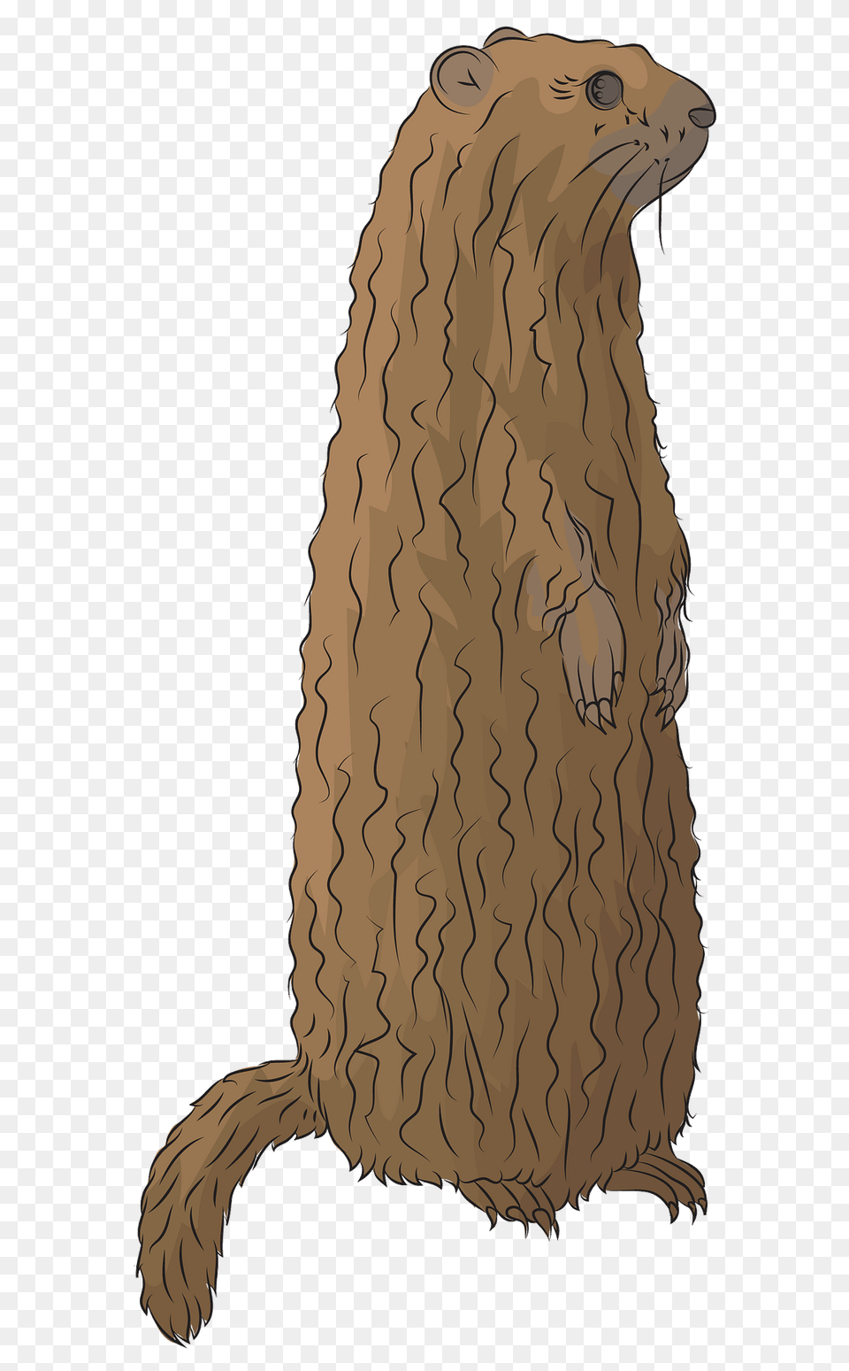 Groundhog Clipart, Animal, Mammal, Wildlife, Bear Free Png