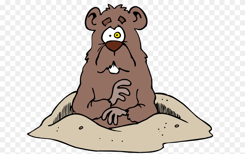 Groundhog Clipart Groundhog Day Vector Download, Baby, Person, Animal, Mammal Png Image