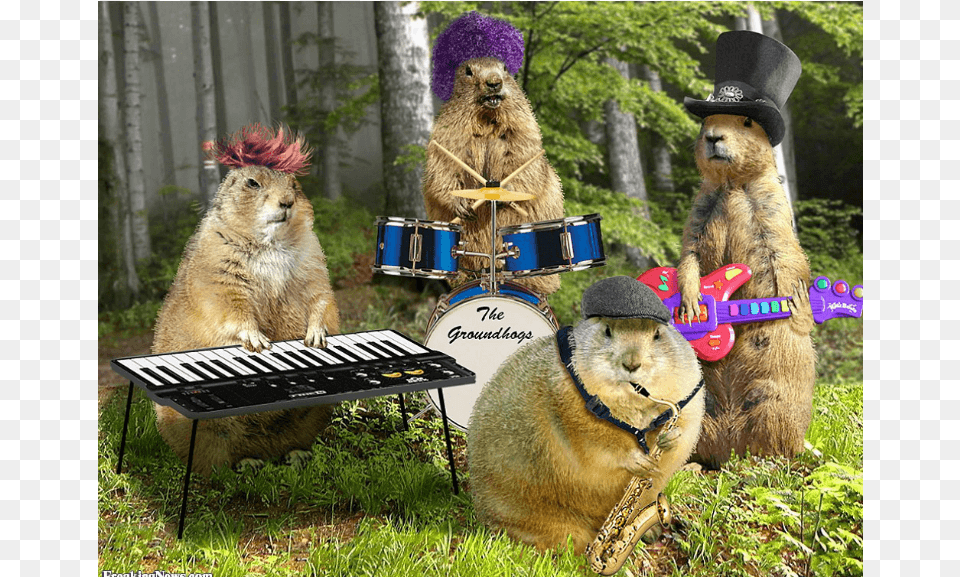 Groundhog Day Funny Groundhogs, Musical Instrument, Teddy Bear, Toy, Animal Free Transparent Png