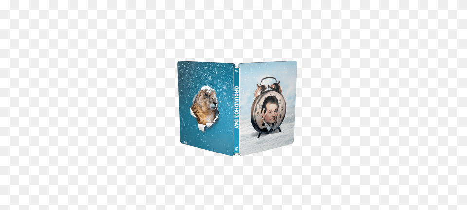 Groundhog Day Limited Edition Zoom Exclusive Steelbook, Business Card, Paper, Text Free Png