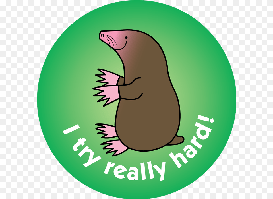 Groundhog For Punxsutawney Phil, Animal, Mammal, Mole Png Image