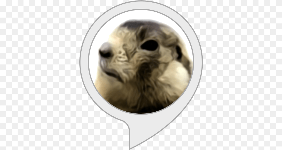 Groundhog Joystick Vector, Animal, Canine, Dog, Mammal Png Image