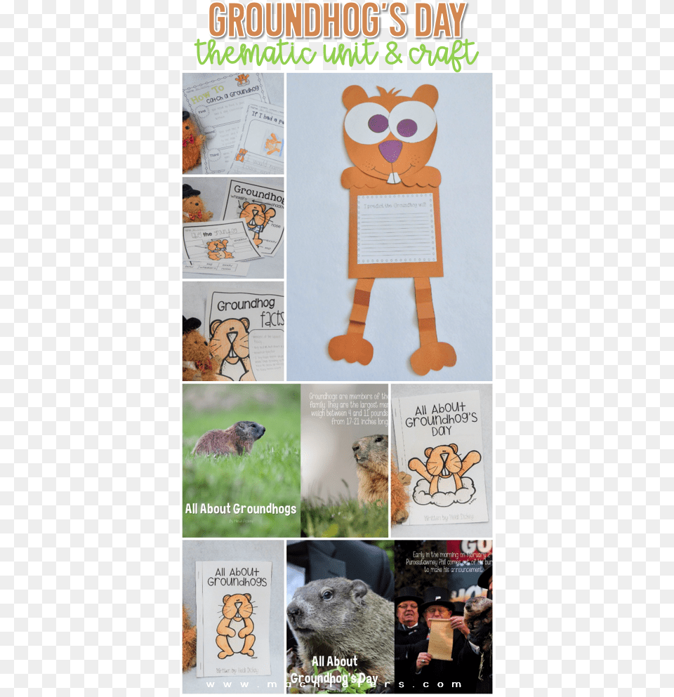 Groundhog S Day Unit And Craft Activities Pack With Cartoon, Wildlife, Mammal, Bear, Animal Png