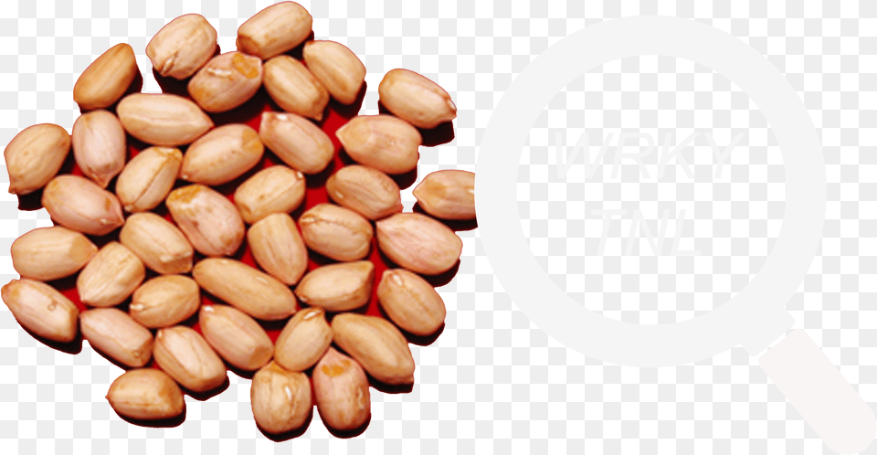 Groundnuts, Food, Nut, Plant, Produce Png