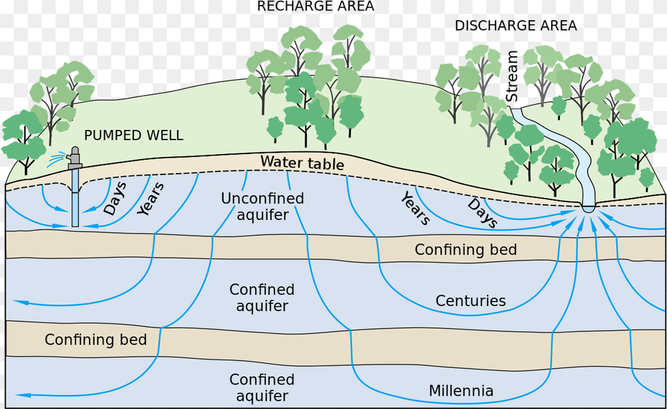 Groundwater Flow Groundwater Flow, Chart, Plot, Plant, Vegetation Png
