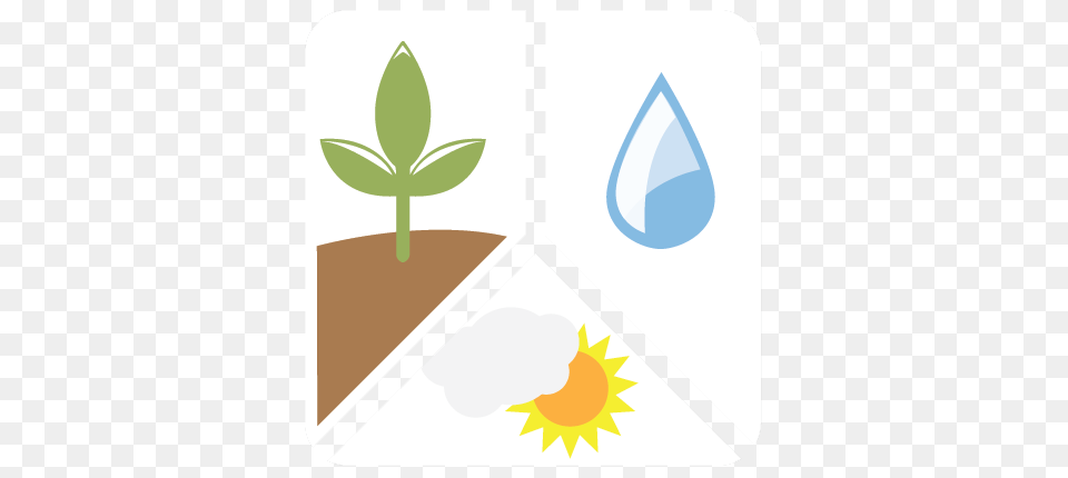Groundwater Productivity, Leaf, Plant, Bud, Flower Png