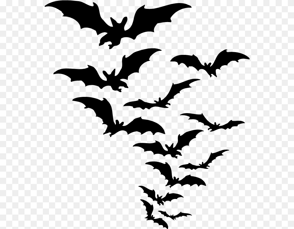 Group Of Bats Clipart, Animal, Kangaroo, Mammal, Bird Free Png Download