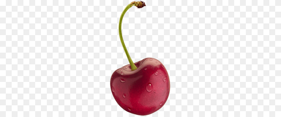 Group Of Cherries Transparent, Cherry, Food, Fruit, Plant Png