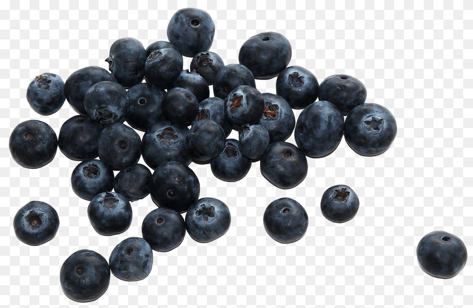 Group Of Fresh Bueberries, Berry, Blueberry, Food, Fruit Png Image