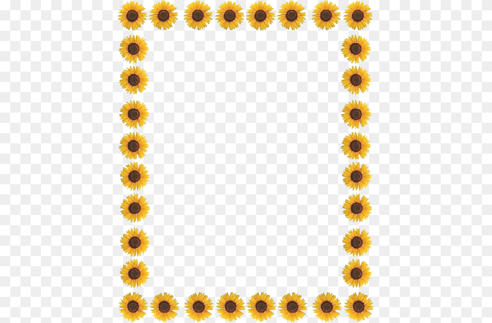 Group Of Marcos De Fotos Para Imprimir, Flower, Plant, Sunflower, Daisy Free Png Download