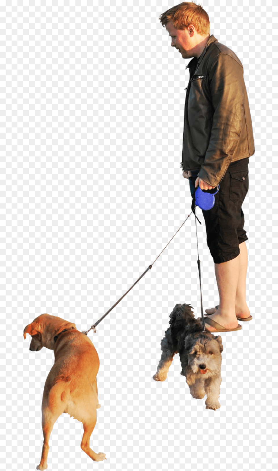 Group Of People Walking Dog Background, Accessories, Strap, Animal, Pet Free Png