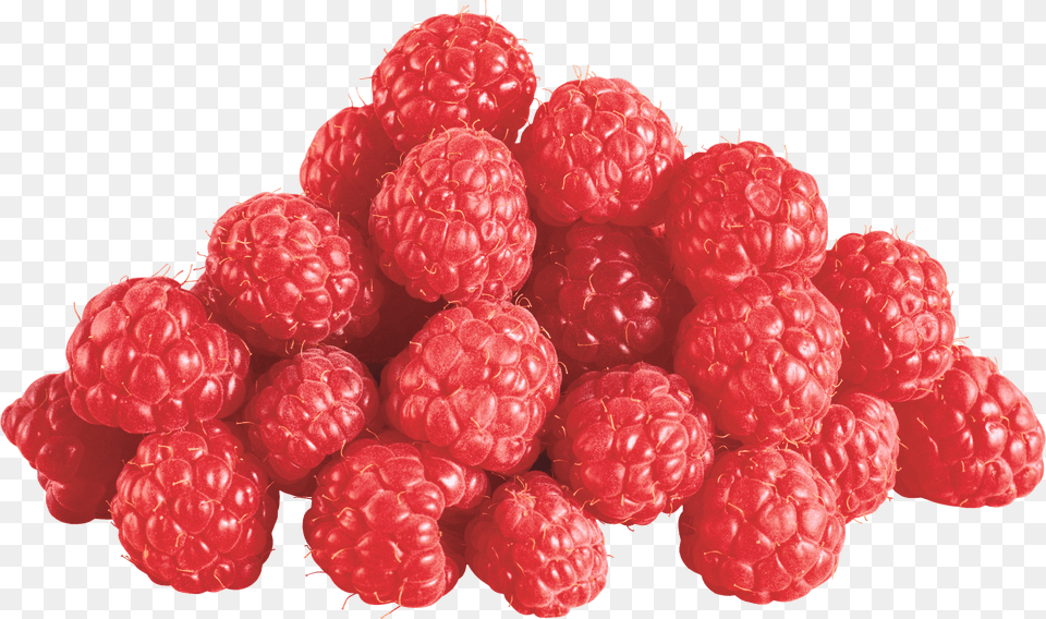 Group Of Raspberries, Berry, Food, Fruit, Plant Free Png Download