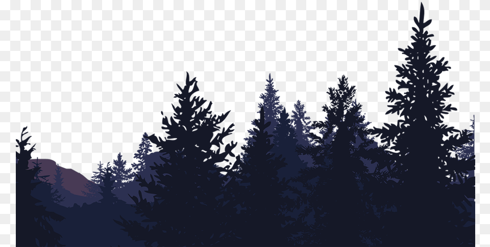 Group Of Trees Kids Camp, Fir, Pine, Plant, Tree Free Transparent Png