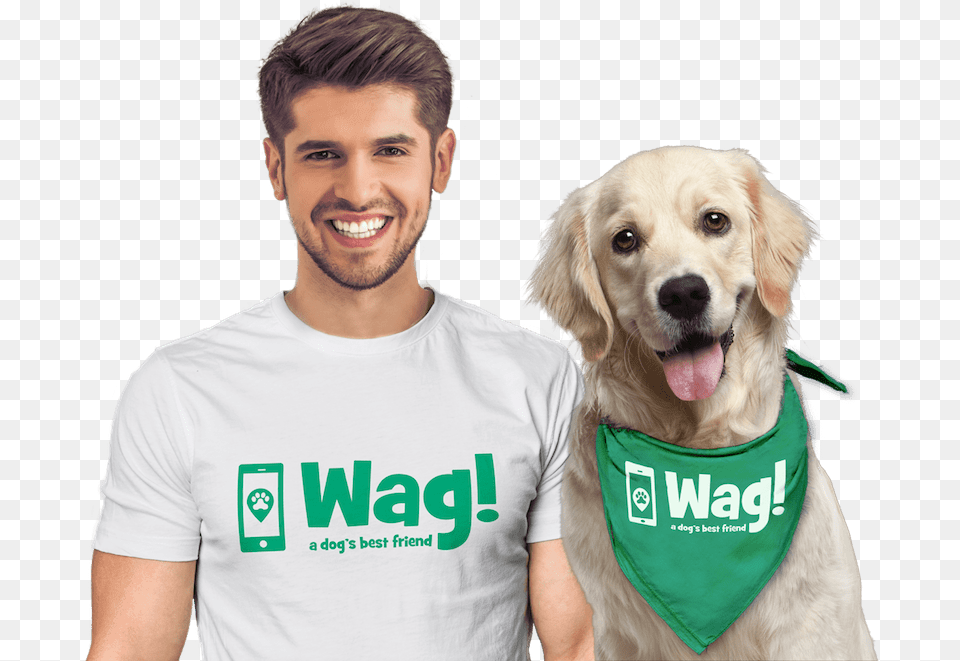 Group People Walking Wag Dog Walking Vippng Golden Retriever 10 Months Old, T-shirt, Clothing, Animal, Canine Png Image