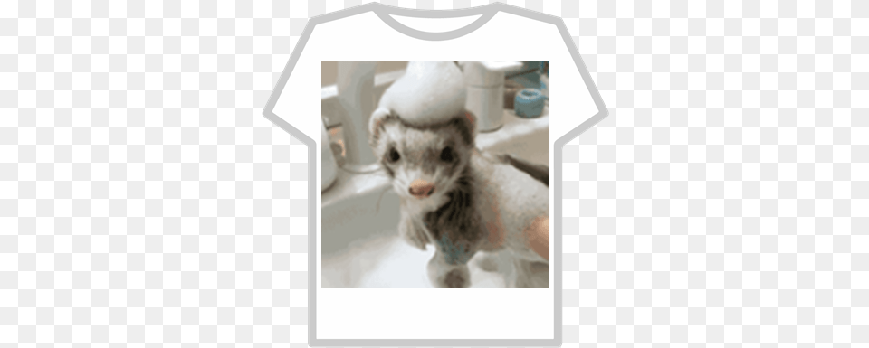 Group Picture Cute Ferret Roblox Roblox Clever Cover T Shirt, Animal, Mammal, Canine, Dog Free Png Download