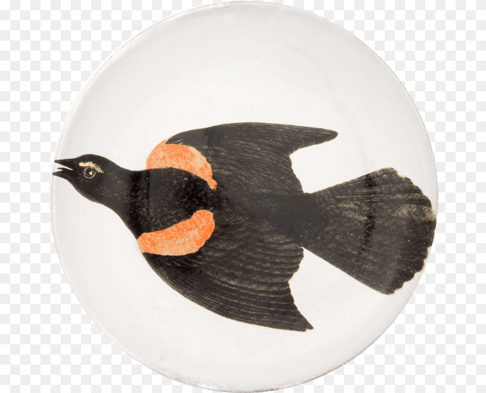Grouse, Animal, Bird, Blackbird, Penguin Free Transparent Png