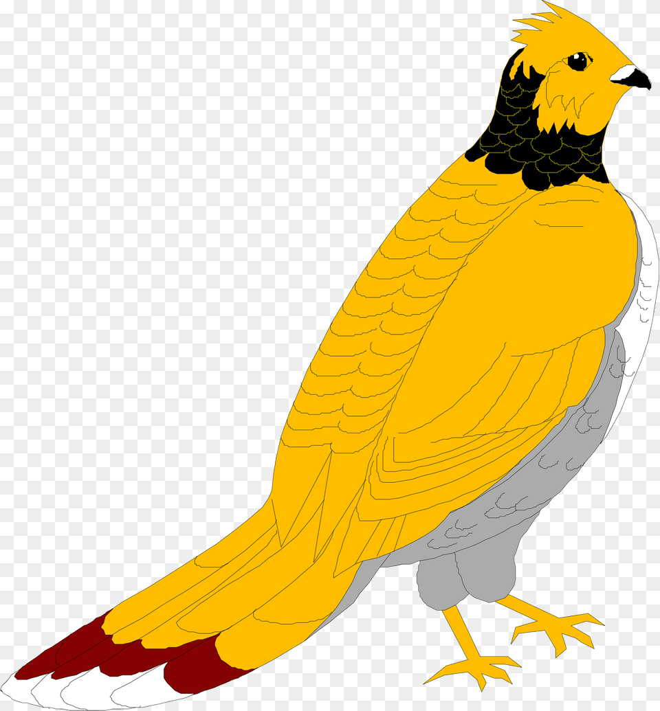 Grouse Clipart, Animal, Bird Png Image