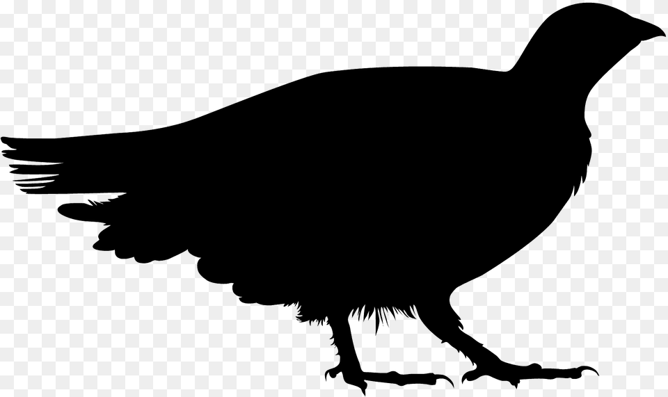 Grouse Silhouette, Animal, Bird, Blackbird, Fish Free Png
