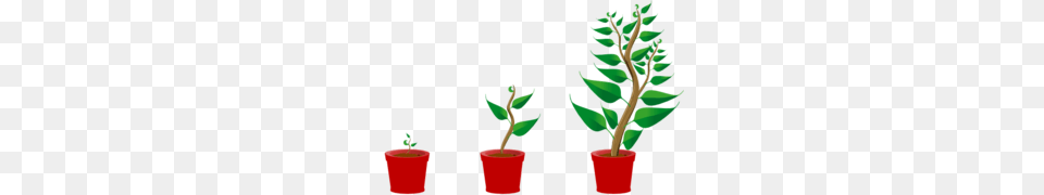 Grow Clipart, Leaf, Plant, Potted Plant, Tree Free Png Download