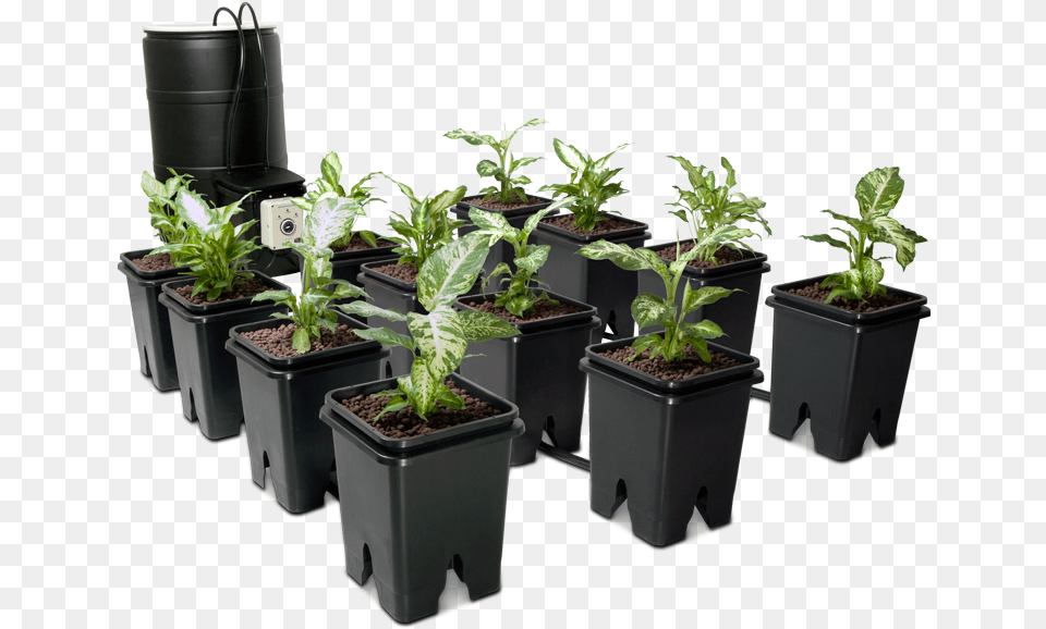 Grow Flow Ebb Amp Flow System Flow Grow Hydroponics, Jar, Leaf, Plant, Planter Free Png Download