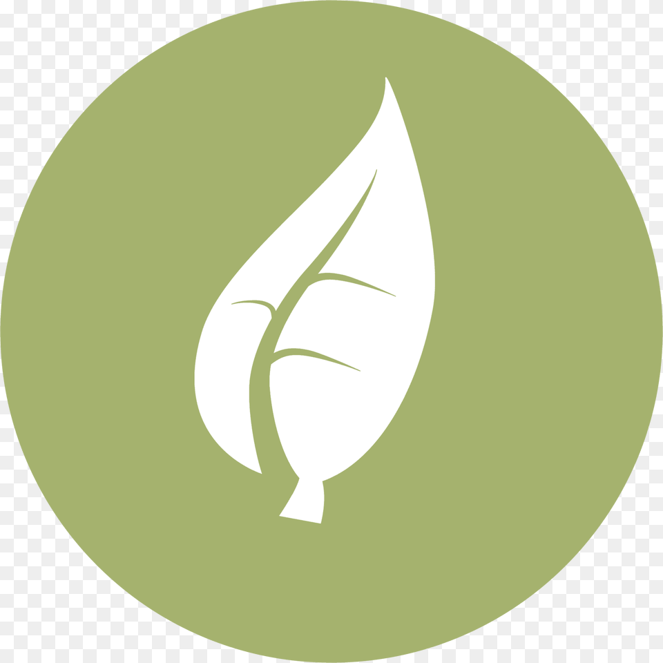 Grow Icon, Leaf, Plant Png