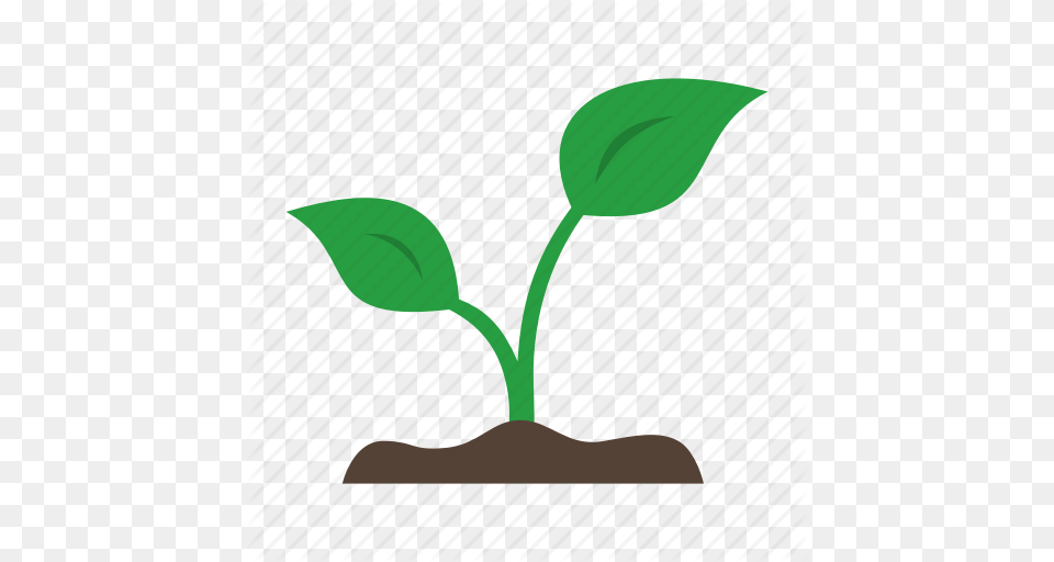 Grow Leaf Organic Plant Sprout Sprouting Icon Png Image