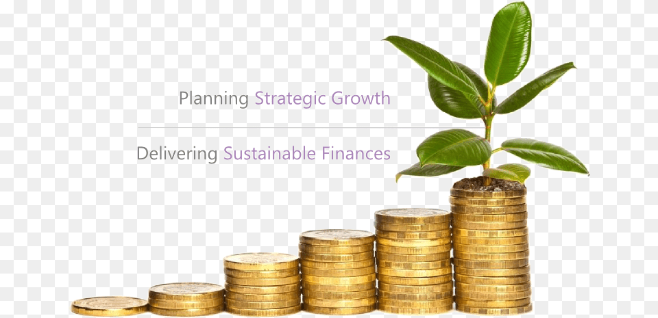 Grow Money, Leaf, Plant, Tape, Coin Png Image