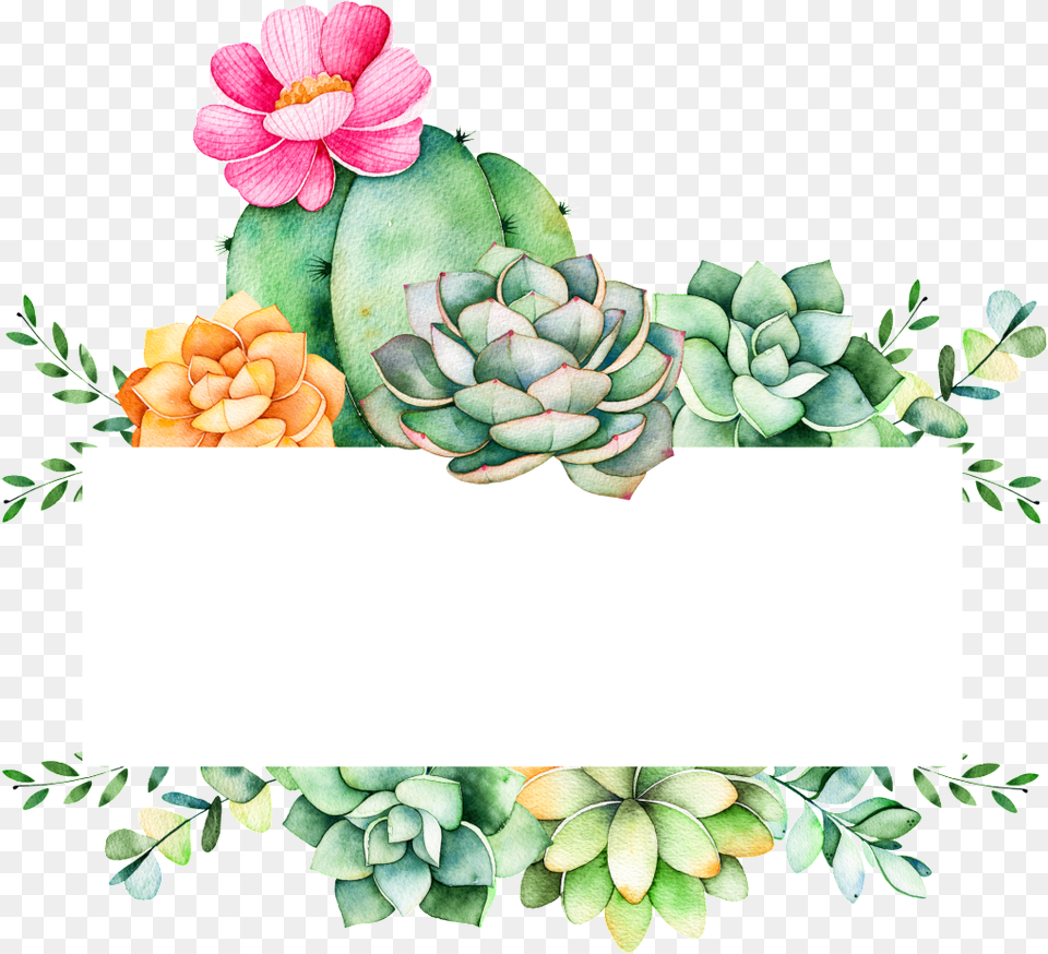Grow Plants Cartoon Cactus Succulent Background, Plant, Potted Plant, Art, Pattern Free Transparent Png