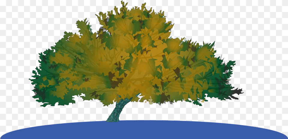 Grow The Actual Survivor Tree Jonsteen Company Maple, Plant, Vegetation, Art, Flower Png Image