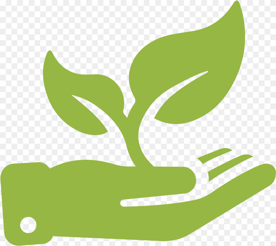 Grow Transparent Background Icon Plant Growing, Herbs, Green, Herbal, Leaf Png
