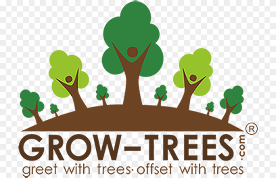 Grow Trees, Plant, Vegetation, Person, Green Png Image