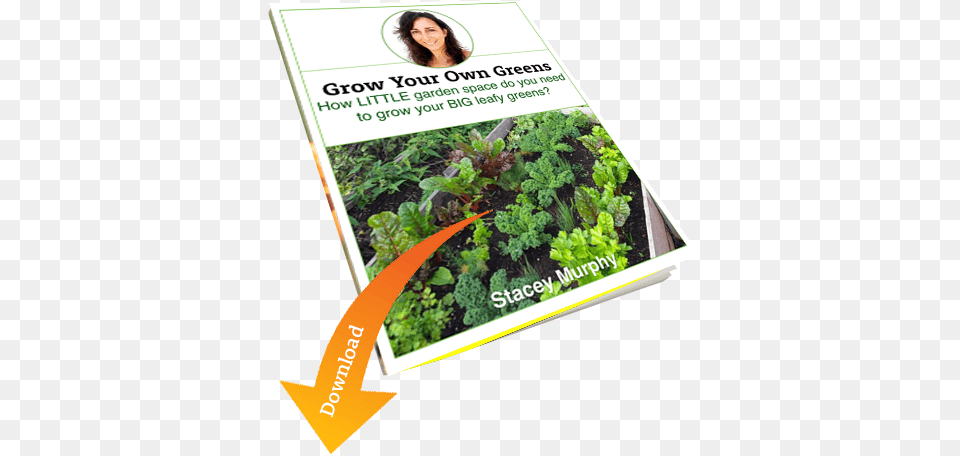 Grow Your Own Vegetables Discover The Garden Style Thatu0027s Mustard Greens, Herbs, Advertisement, Plant, Herbal Free Transparent Png