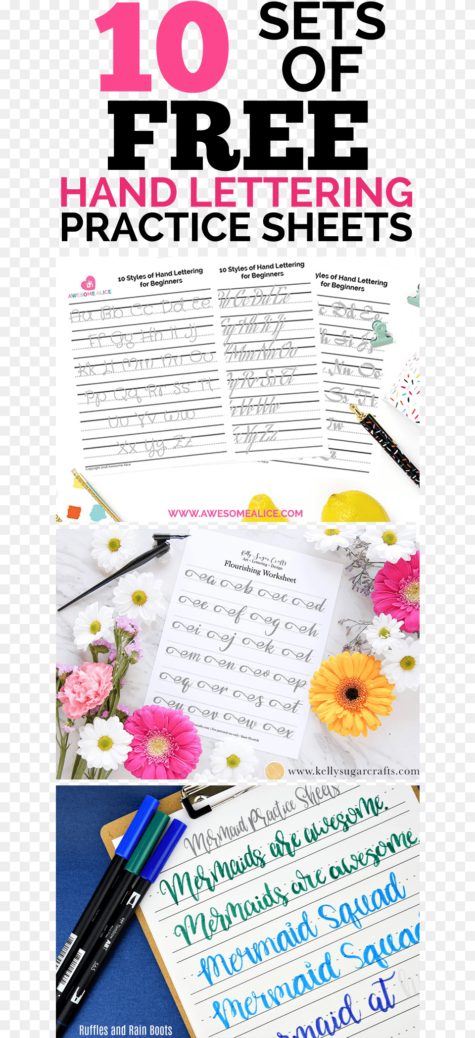 Grow Your Skills With Nine Hand Lettering Worksheets African Daisy, Advertisement, Page, Poster, Text Free Png Download