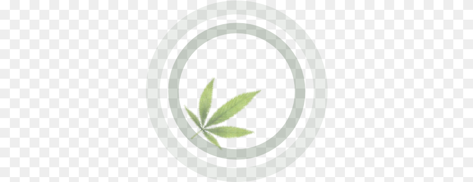 Growers Guide To Cannabis Illustration, Green, Leaf, Plant, Weed Png Image