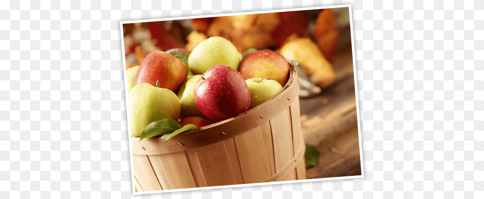 Growing Apples Apple, Food, Fruit, Plant, Produce Free Png Download