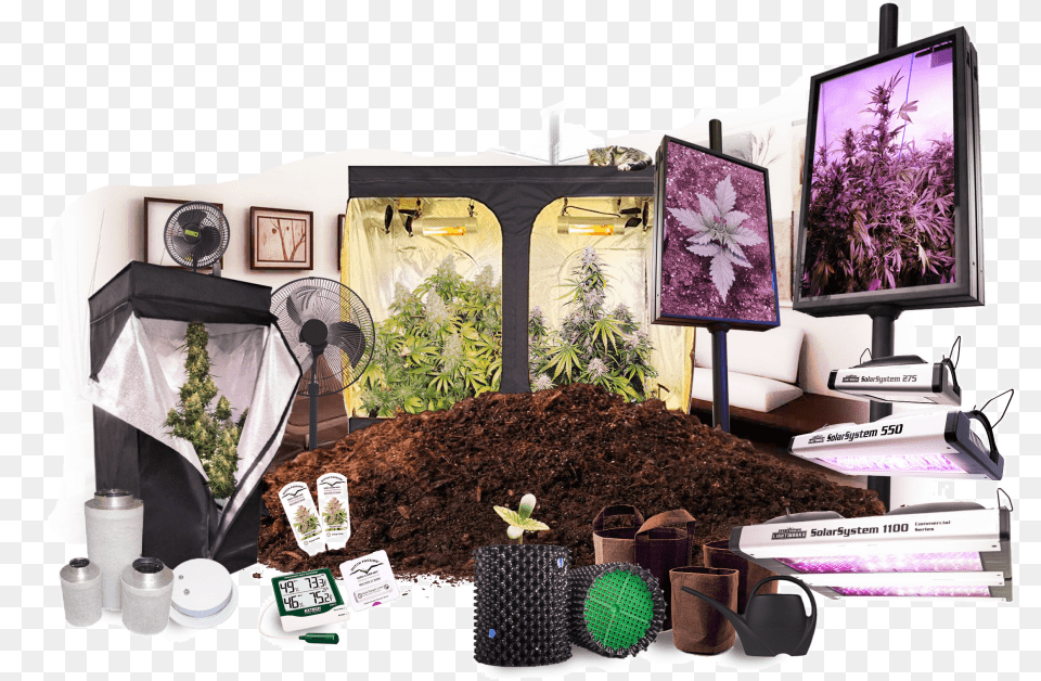 Growing Cannabis Indoors Orchid, Computer Hardware, Electronics, Screen, Hardware Free Png