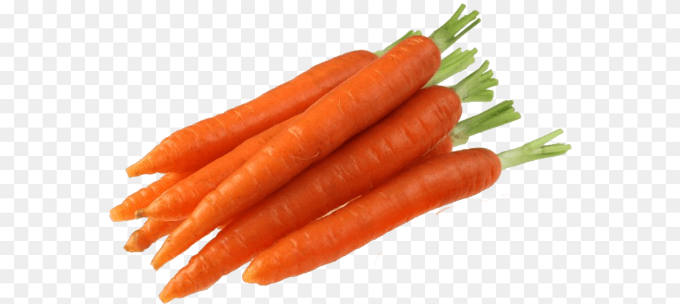 Growing Carrots How To Plant Care For Pick Carrots Sproutabl, Carrot, Food, Produce, Vegetable Free Transparent Png