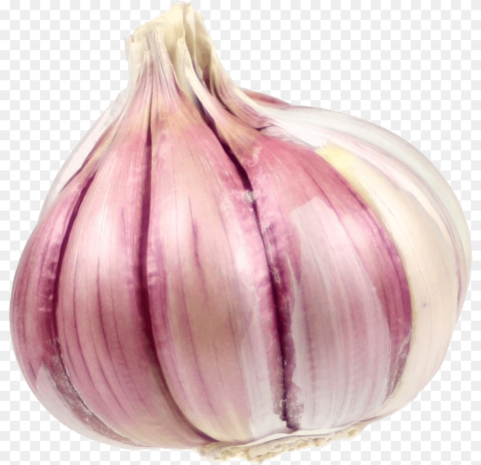 Growing Garlic Corm In Garlic, Food, Produce, Plant, Vegetable Free Png