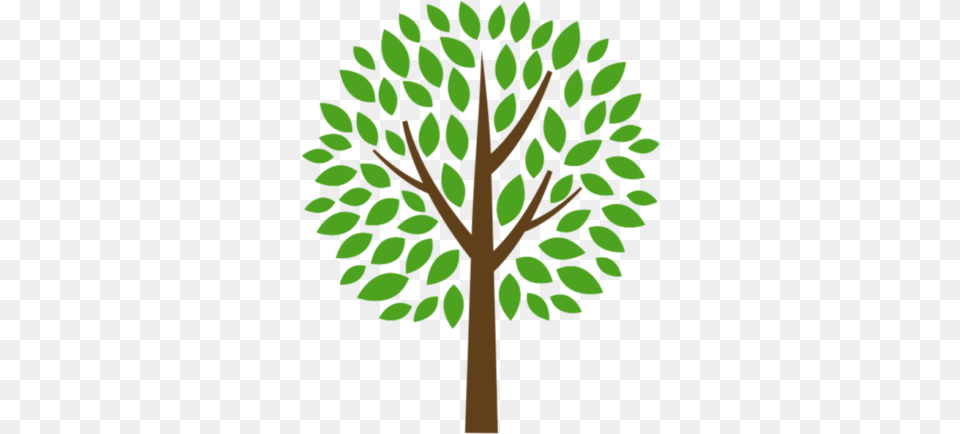 Growing In Christ Vertical, Leaf, Plant, Tree, Green Png Image