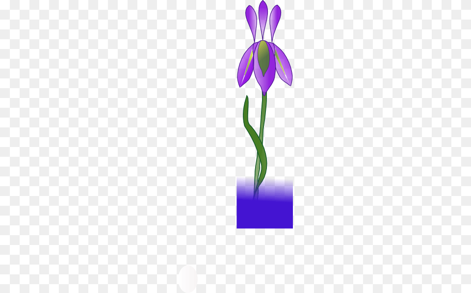 Growing Iris Clipart, Flower, Plant, Petal, Orchid Free Transparent Png