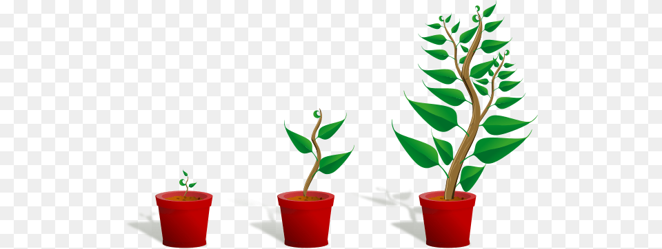 Growing Plant Clipart, Leaf, Potted Plant, Tree, Cookware Free Transparent Png