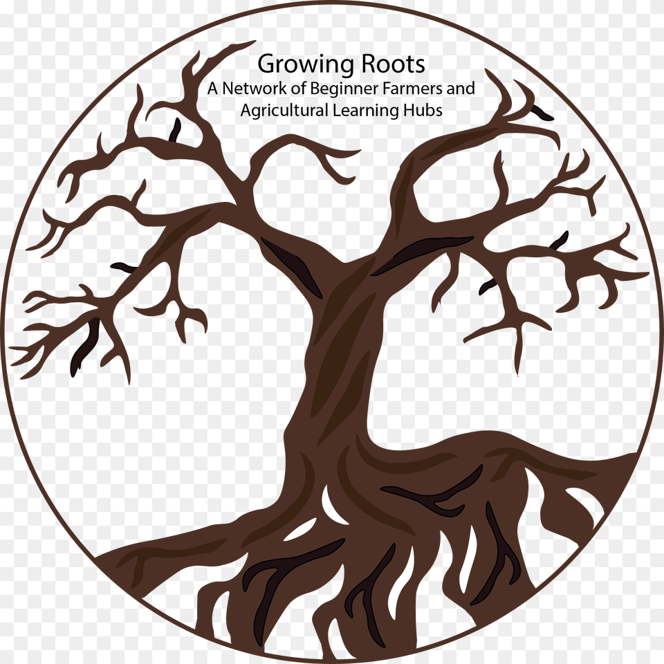 Growing Roots Logo Illustration, Animal, Kangaroo, Mammal, Plant Png