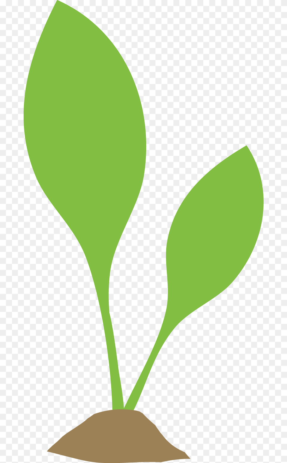 Growing Through The Dirt, Herbal, Herbs, Leaf, Plant Png