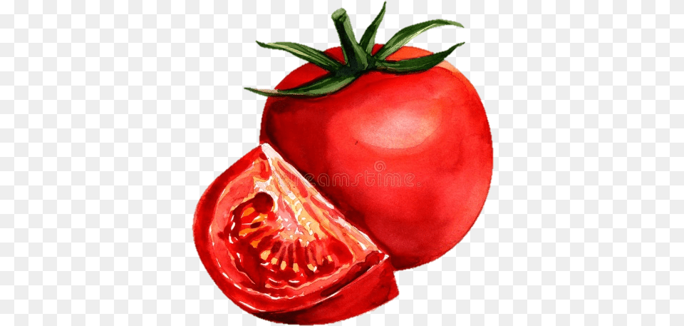 Growing Tomatoes Lackawanna County Library System Tomato Painting With Watercolor, Produce, Vegetable, Food, Plant Free Transparent Png