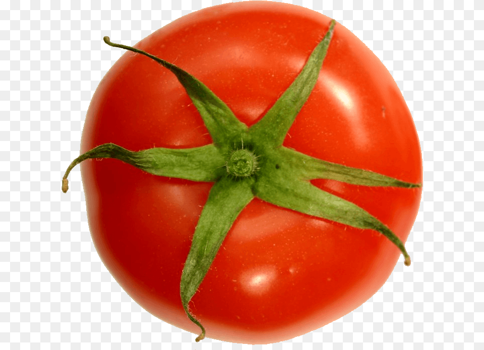 Growing Tomatoes Tomato Top View, Food, Plant, Produce, Vegetable Free Png Download