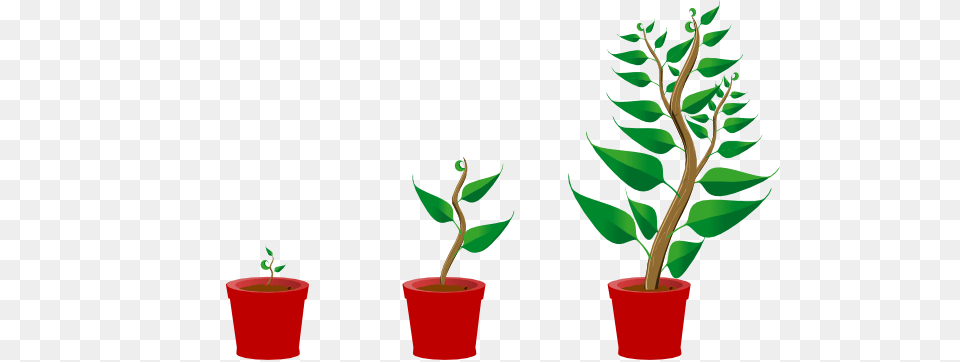 Growing Trees Clip Art, Leaf, Plant, Tree, Flower Png