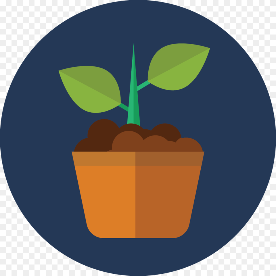 Growth, Jar, Leaf, Plant, Planter Free Png Download