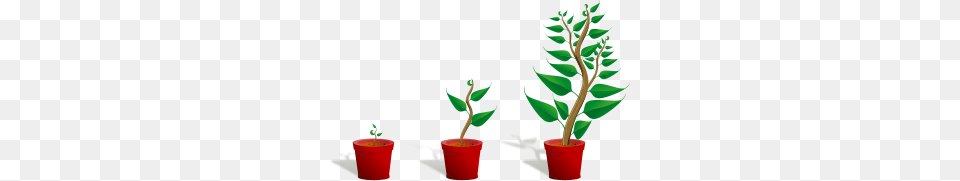 Growth Clipart, Leaf, Plant, Potted Plant, Tree Free Png