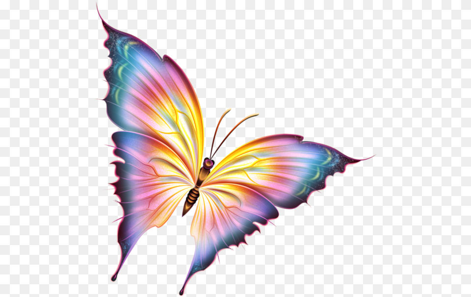 Growth Clipart Butterfly Beautiful Butterfly Pictures, Accessories, Fractal, Ornament, Pattern Png